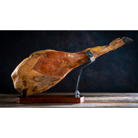 PALETILLA IBERICA 5b