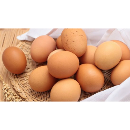 HUEVOS XL 1/2 DOCENA