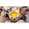 HUEVOS CODORNIZ