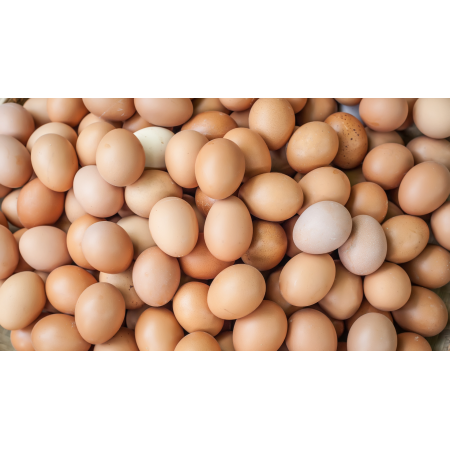 HUEVOS ECOLOGICOS 1/2 DOC