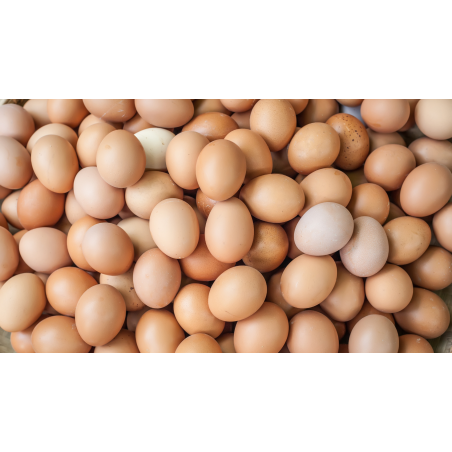 HUEVOS ECOLOGICOS 1/2 DOC