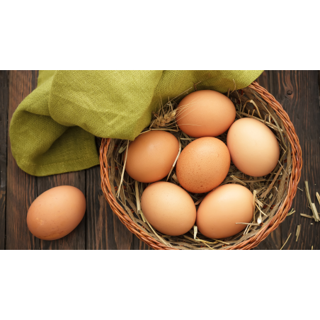 HUEVOS PAGES 1/2 DOC