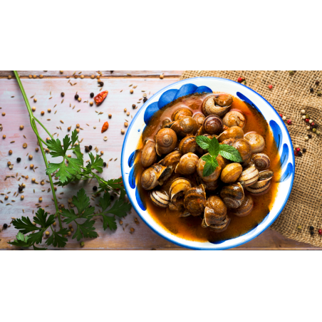 CARACOLES 1/2 TORRENT-AVICOSAN