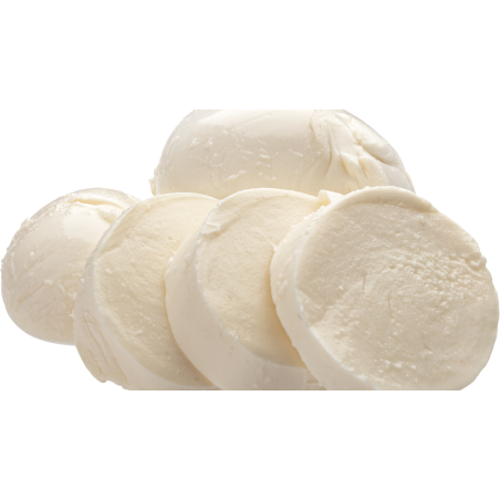 QUESO FRESCO MONTBRU