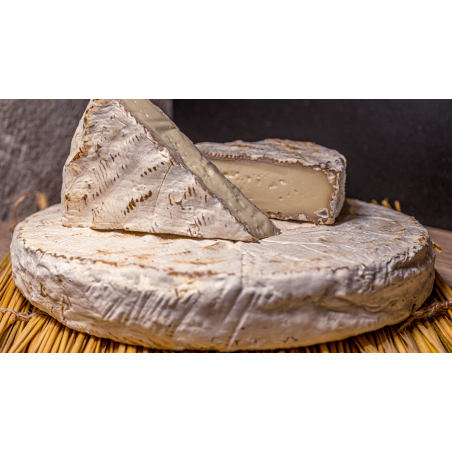 QUESO COMTE VIELLE