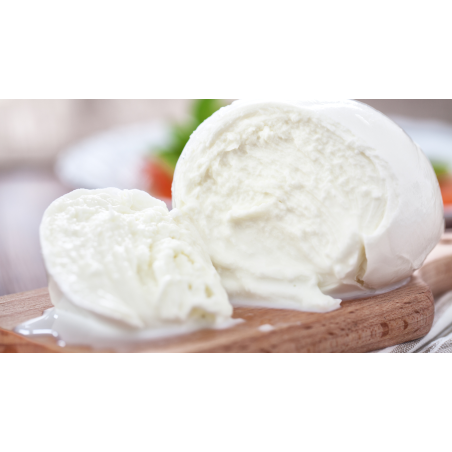 QUESO MOZZARELLA BARRA