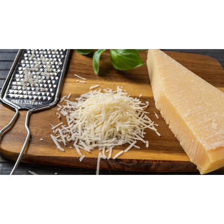 QUESO PARMIGIANO CUÑA